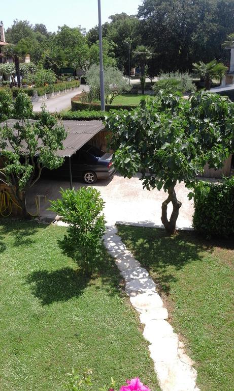 Apartment Laura بوريتش المظهر الخارجي الصورة