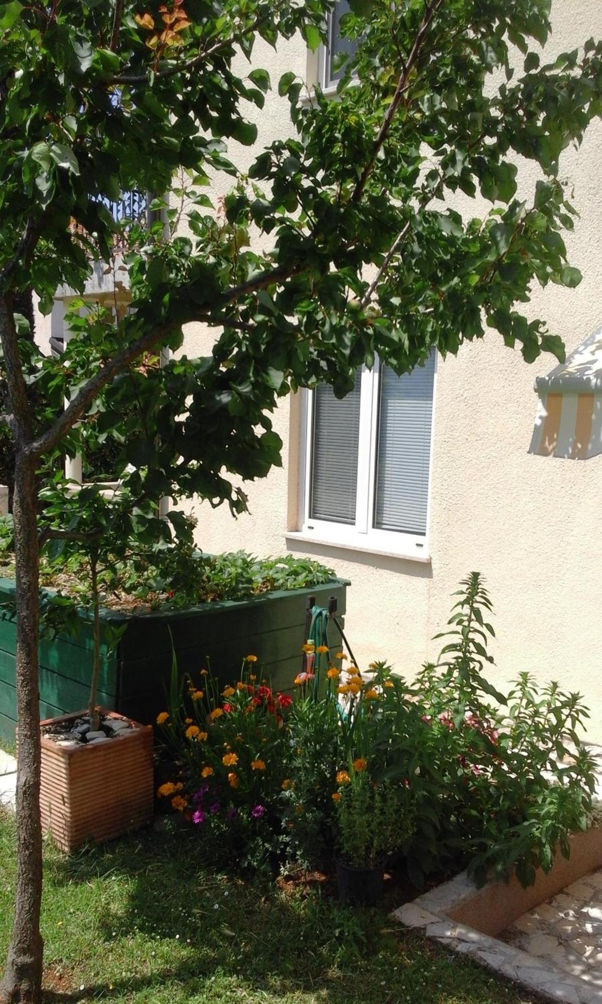 Apartment Laura بوريتش المظهر الخارجي الصورة