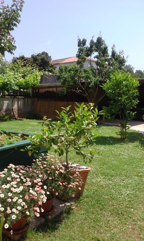 Apartment Laura بوريتش المظهر الخارجي الصورة